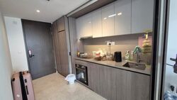 Avenue South Residence (D3), Apartment #480082581